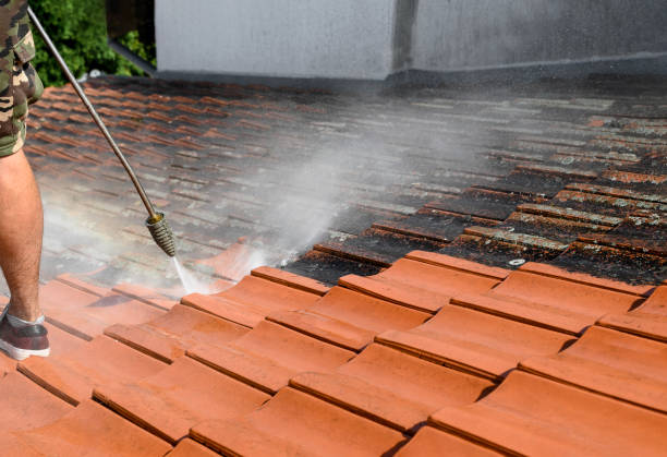 Best Pressure Washing Cost  in La Vernia, TX